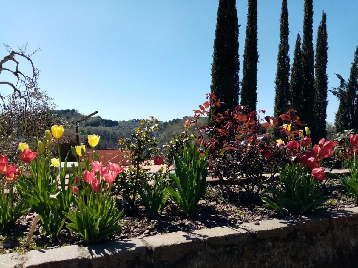 Vila Gervasella Pontedera Exteriér fotografie